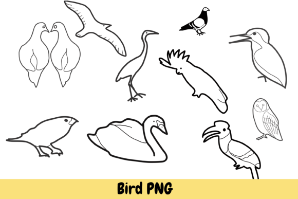 10 Hand Drawn Bird PNGs: Your Next Design Asset