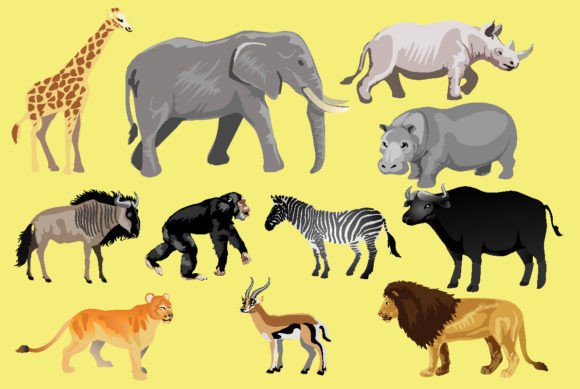 Exploring African Wild Life Animal Vector in Design